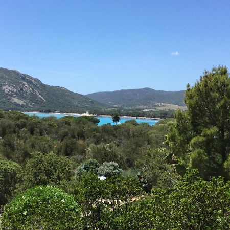 Villa Les Hameaux Di Santa Giulia 维琪奥港 外观 照片